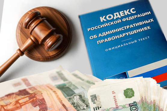 Уточнены названия контрольных органов, за воспрепятствование проверкам которых наступает ответственность